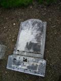 image of grave number 245750